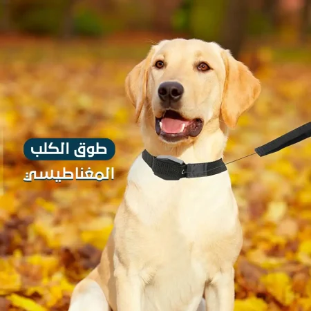 طوق الكلب المغناطيسي - التحكم والأمان أثناء المشي (1) طوق الكلب المغناطيسي - التحكم والأمان أثناء المشي