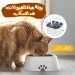 بولة مياه للحيوانات ضد الانسكاب بولة مياه للحيوانات ضد الانسكاب