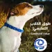 طوق تدريب الكلاب للتحكم في السلوك بسهولة وفعالية من Command Collar طوق تدريب الكلاب للتحكم في السلوك بسهولة وفعالية من Command Collar