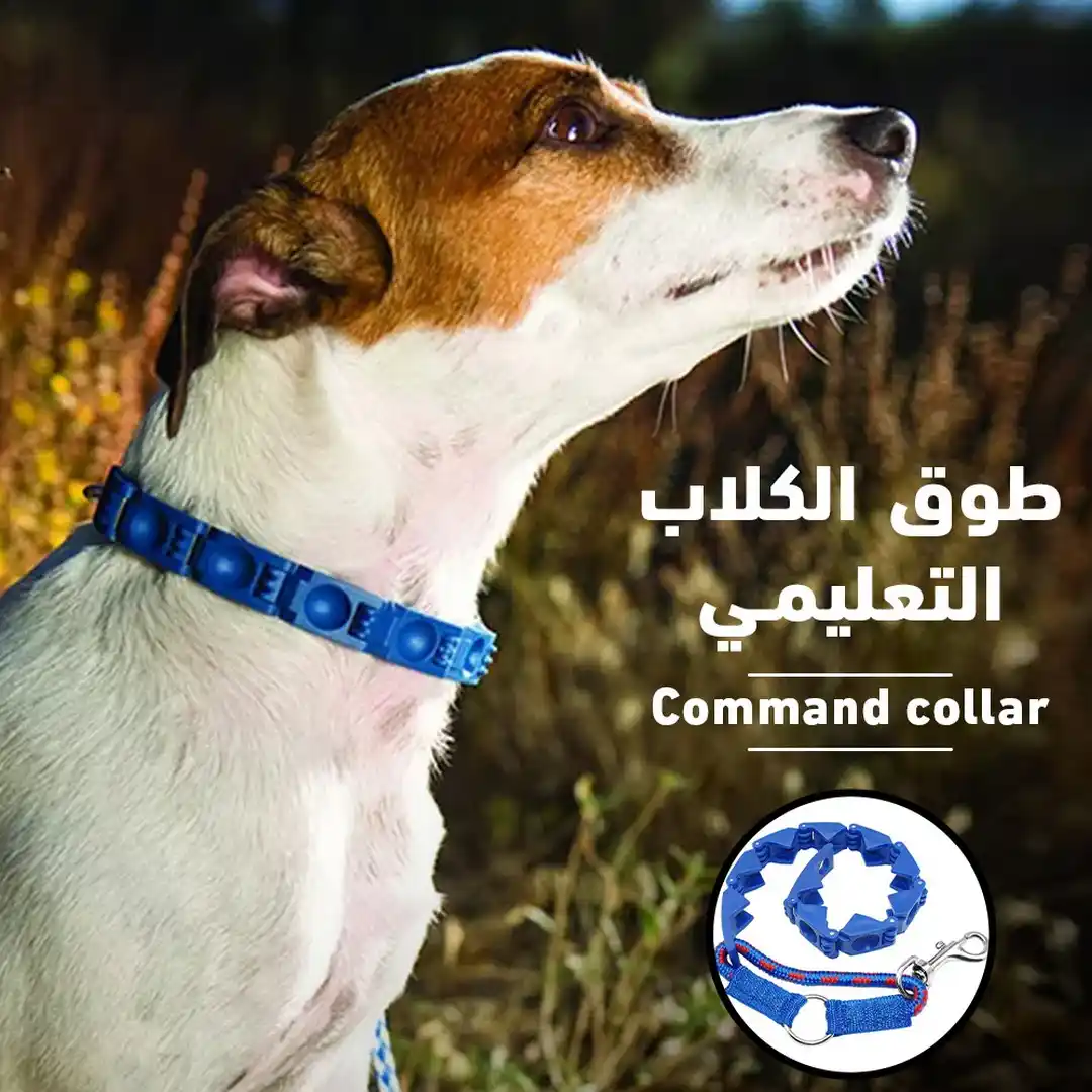 طوق تدريب الكلاب للتحكم في السلوك بسهولة وفعالية من Command Collar