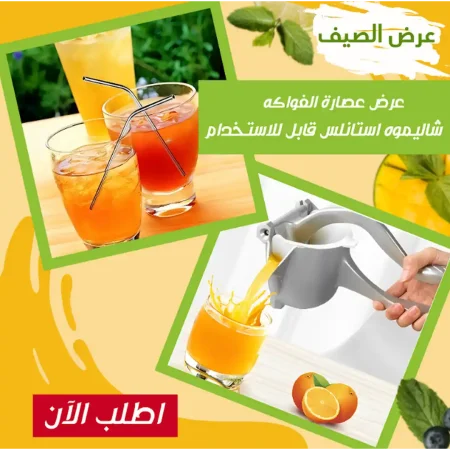 عصارة فواكه يدوية ستانلس مع 4 شاليموه قابلة لإعادة الاستخدام