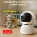 كاميرا مراقبة ذكية بانورامية 1080P كاميرا Ip واي فاي بعدسة مزدوجة