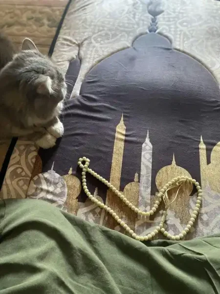 سجادة صلاة طبية مبطنة مانعة للانزلاق كبيرة ومريحة للركب