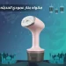 مكواة بخار عمودية يدوية سريعة للفرد والتعقيم في دقايق